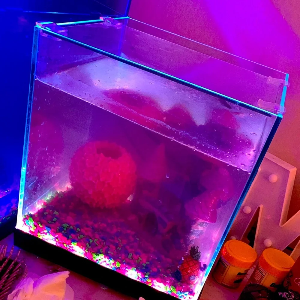 Fish aquarium